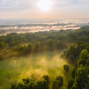 Preview wallpaper trees, forest, glade, light, landscape