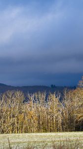 Preview wallpaper trees, forest, hills, mountains, landscape, clouds, sky, nature