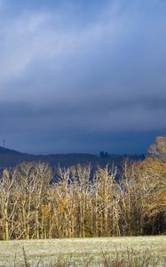 Preview wallpaper trees, forest, hills, mountains, landscape, clouds, sky, nature