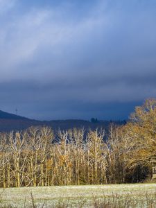 Preview wallpaper trees, forest, hills, mountains, landscape, clouds, sky, nature