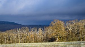 Preview wallpaper trees, forest, hills, mountains, landscape, clouds, sky, nature