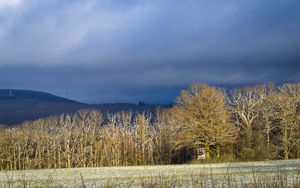Preview wallpaper trees, forest, hills, mountains, landscape, clouds, sky, nature