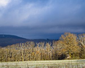 Preview wallpaper trees, forest, hills, mountains, landscape, clouds, sky, nature