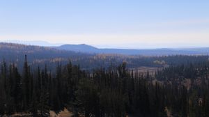 Preview wallpaper trees, forest, hills, mountains, landscape