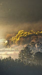 Preview wallpaper trees, forest, house, fog