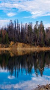 Preview wallpaper trees, forest, island, lake, reflection, nature