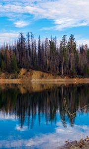 Preview wallpaper trees, forest, island, lake, reflection, nature