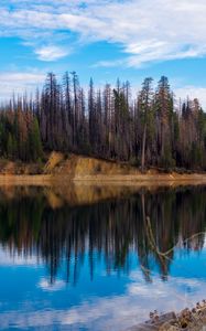 Preview wallpaper trees, forest, island, lake, reflection, nature