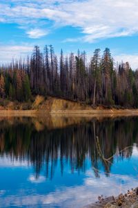 Preview wallpaper trees, forest, island, lake, reflection, nature