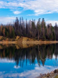 Preview wallpaper trees, forest, island, lake, reflection, nature