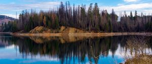 Preview wallpaper trees, forest, island, lake, reflection, nature