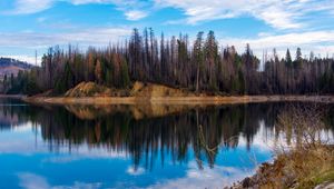 Preview wallpaper trees, forest, island, lake, reflection, nature