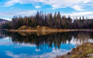 Preview wallpaper trees, forest, island, lake, reflection, nature