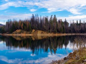 Preview wallpaper trees, forest, island, lake, reflection, nature