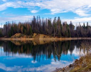Preview wallpaper trees, forest, island, lake, reflection, nature