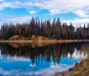 Preview wallpaper trees, forest, island, lake, reflection, nature