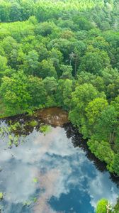 Preview wallpaper trees, forest, lake, aerial view, nature