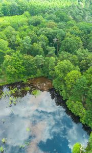 Preview wallpaper trees, forest, lake, aerial view, nature