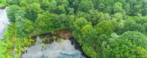 Preview wallpaper trees, forest, lake, aerial view, nature