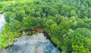 Preview wallpaper trees, forest, lake, aerial view, nature