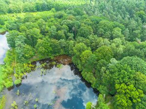 Preview wallpaper trees, forest, lake, aerial view, nature