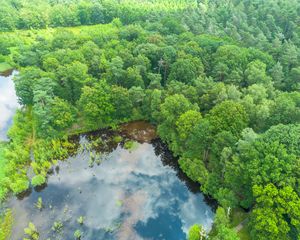 Preview wallpaper trees, forest, lake, aerial view, nature