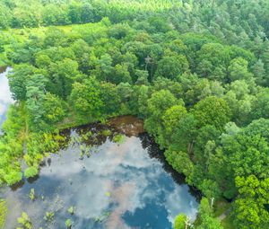 Preview wallpaper trees, forest, lake, aerial view, nature