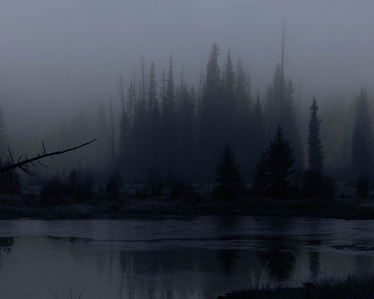 1280x1024 Wallpaper trees, forest, lake, fog, dark, nature