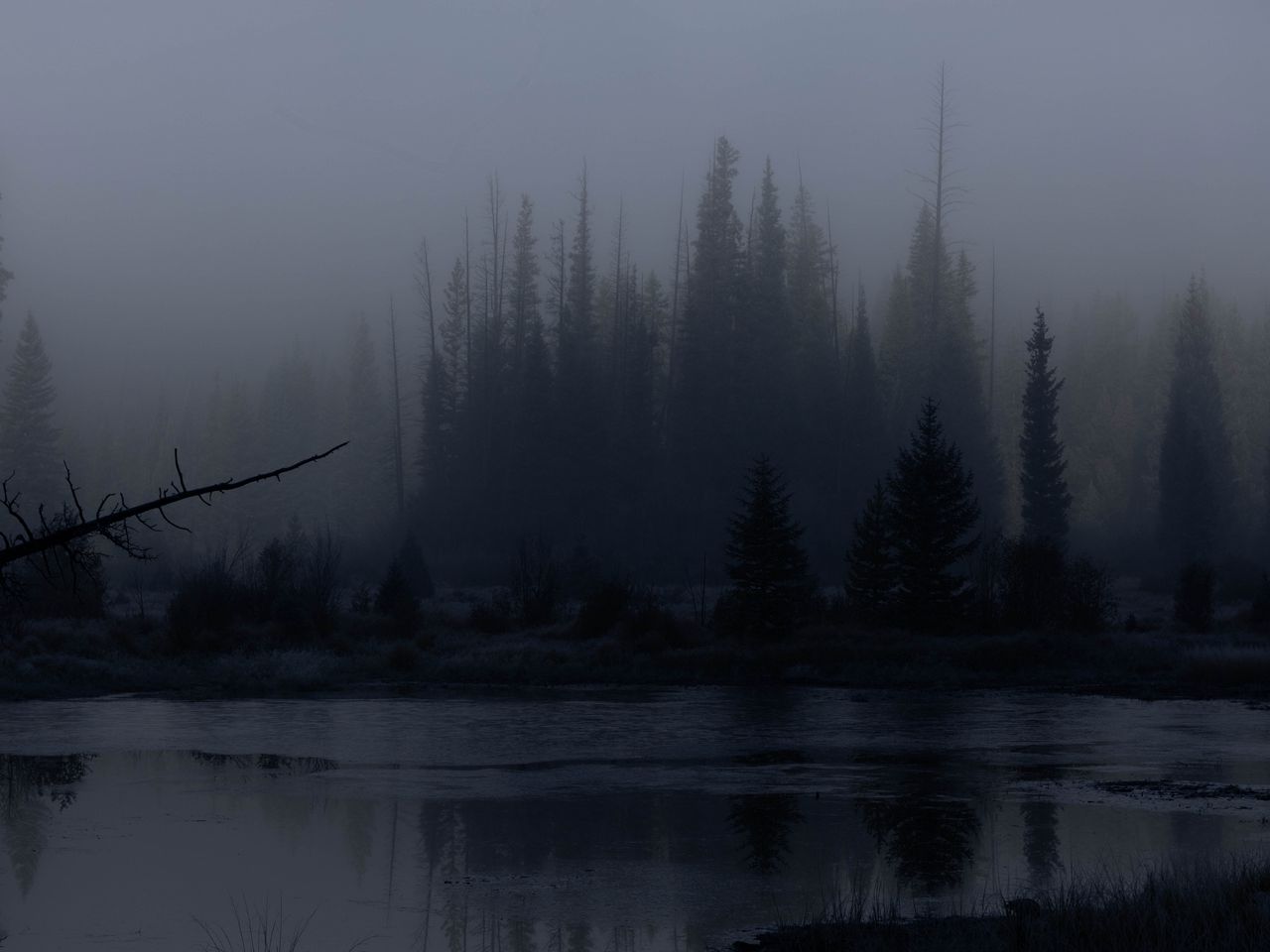 1280x960 Wallpaper trees, forest, lake, fog, dark, nature