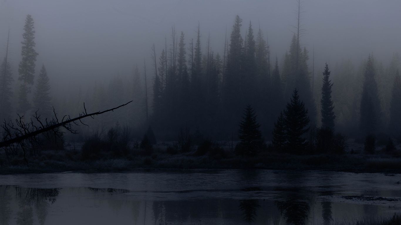 1366x768 Wallpaper trees, forest, lake, fog, dark, nature