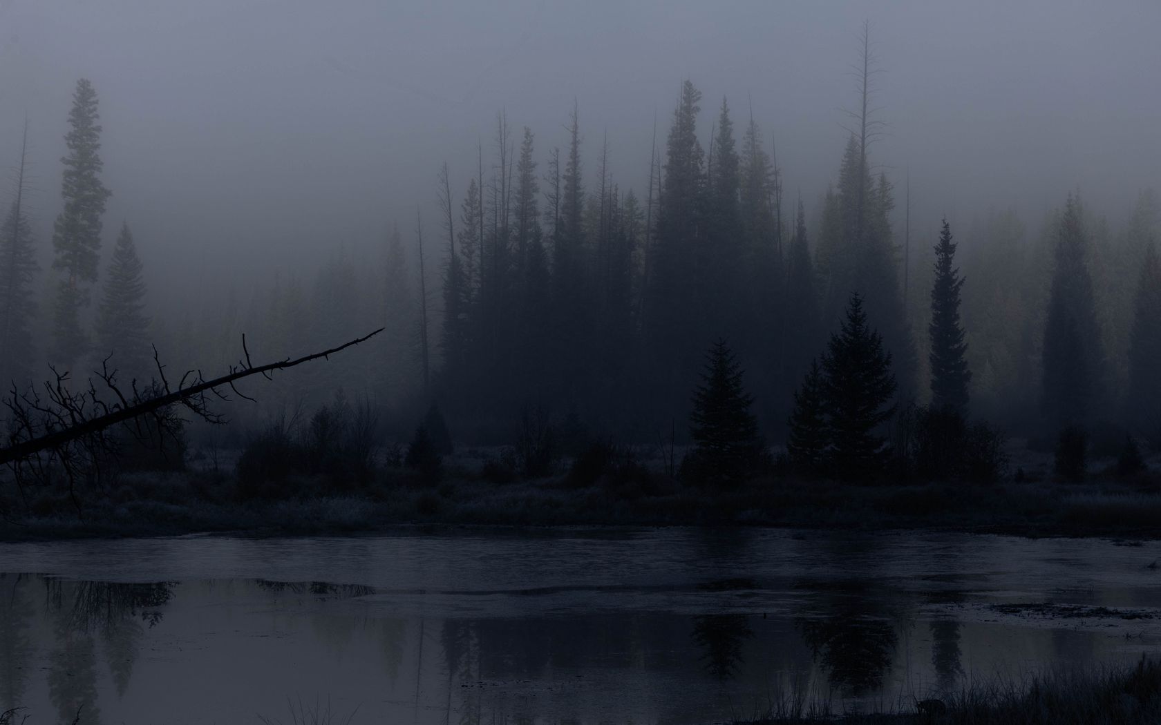 1680x1050 Wallpaper trees, forest, lake, fog, dark, nature