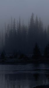 Preview wallpaper trees, forest, lake, fog, dark, nature