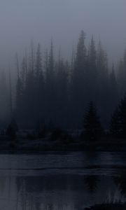 Preview wallpaper trees, forest, lake, fog, dark, nature