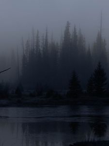Preview wallpaper trees, forest, lake, fog, dark, nature