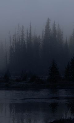 240x400 Wallpaper trees, forest, lake, fog, dark, nature