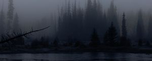 Preview wallpaper trees, forest, lake, fog, dark, nature