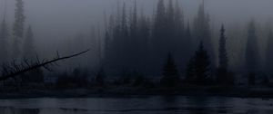 Preview wallpaper trees, forest, lake, fog, dark, nature