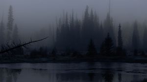 Preview wallpaper trees, forest, lake, fog, dark, nature