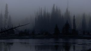 Preview wallpaper trees, forest, lake, fog, dark, nature