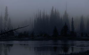 Preview wallpaper trees, forest, lake, fog, dark, nature