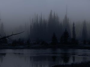 Preview wallpaper trees, forest, lake, fog, dark, nature