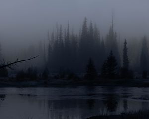 Preview wallpaper trees, forest, lake, fog, dark, nature