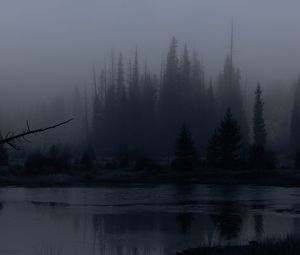 Preview wallpaper trees, forest, lake, fog, dark, nature