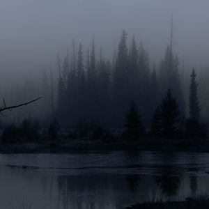 Preview wallpaper trees, forest, lake, fog, dark, nature