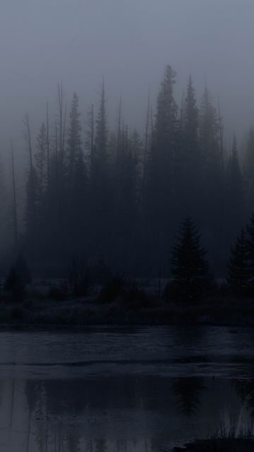 360x640 Wallpaper trees, forest, lake, fog, dark, nature