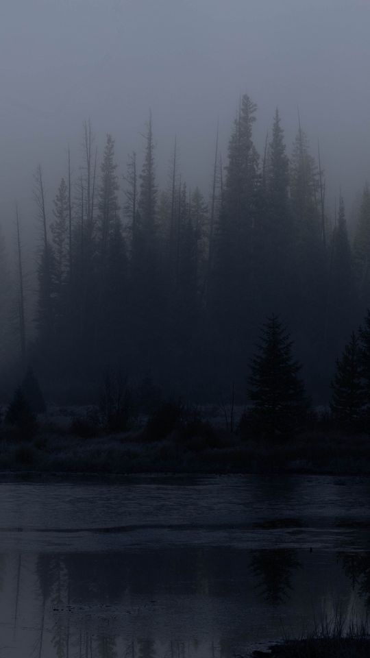540x960 Wallpaper trees, forest, lake, fog, dark, nature