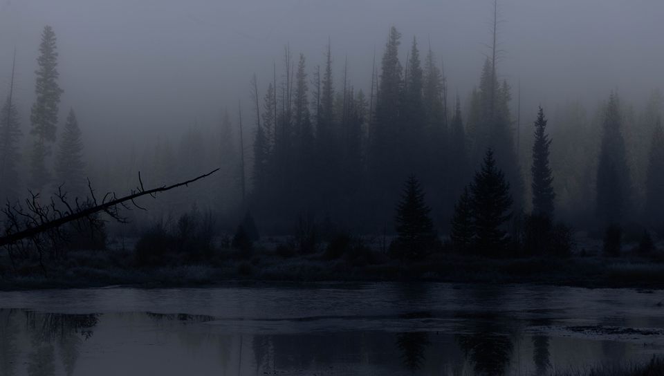 960x544 Wallpaper trees, forest, lake, fog, dark, nature