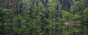 Preview wallpaper trees, forest, lake, reflection, landscape, nature