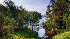 Preview wallpaper trees, forest, lake, nature, landscape