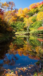 Preview wallpaper trees, forest, lake, reflection, autumn, landscape